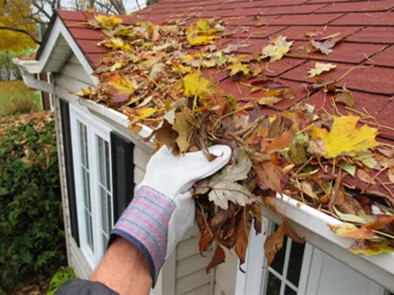 Leaves in roof gutter