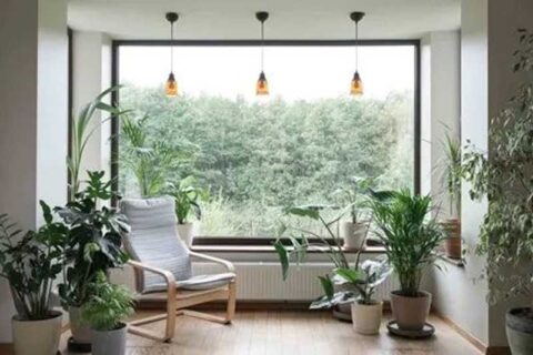 Bright indoor space with a large window, wooden chair, and various potted plants.