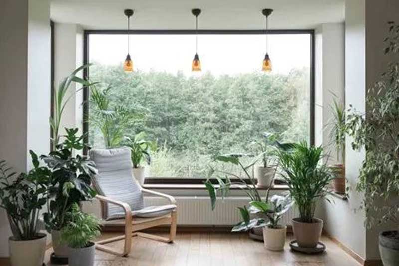 Bright indoor space with a large window, wooden chair, and various potted plants.