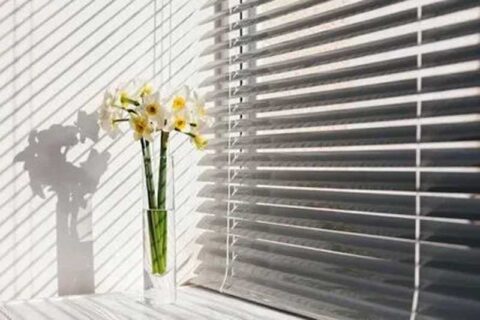 Vase of white flowers on a windowsill with sunlight casting shadows through horizontal blinds.