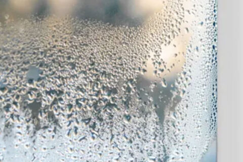 Condensation on window glass